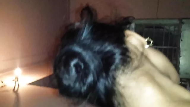 این کلیپ سکسی سوپر دختر زیبا عاشق مکیدن و دمار از روزگارمان درآورد